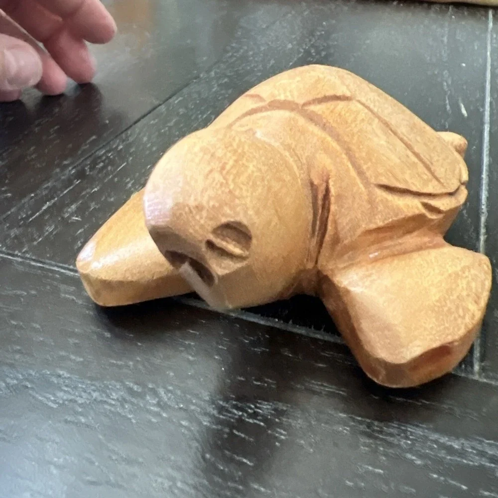 Wood Carved Turtle 5